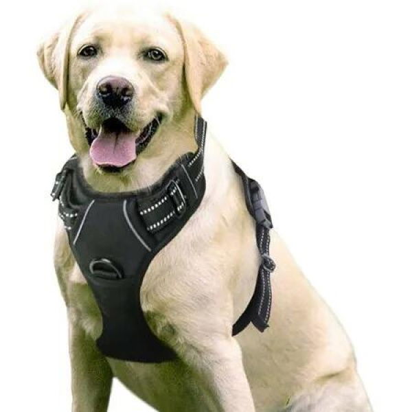 No-Pull Dog Harness with Reflective Safety,2 Leash Clips,Adjustable Soft Padded Vest,Easy Control(Large Size,Black)