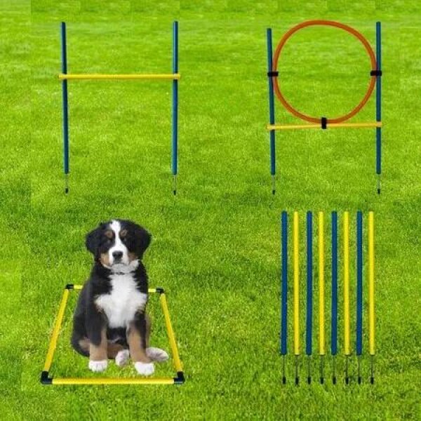 Pet Agility Dog Training Device, Dog Barrier Training Jumping Pole, Jumping Ring, Fence, Dog Agility Training Equipment