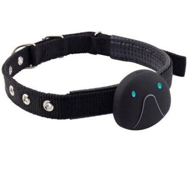 Pet Dog GPS Tracker Collar Smart Pet Tracker Real-Time Tracking Device IP67 Waterproof - App Control