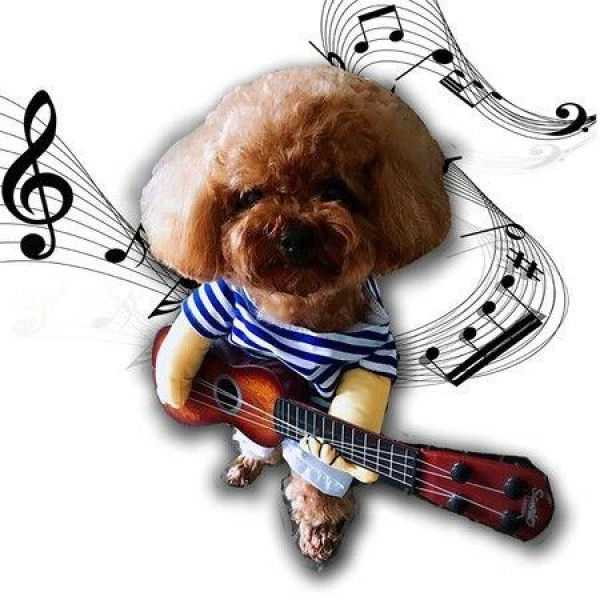 Pet Guitar Costume Dog Costumes Cat Halloween Christmas Cosplay Party Funny Outfit Clothes (Size M)