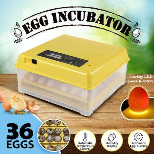 Petscene 36 Eggs Automatic Incubator Hatching Hatcher Machine Egg Turning LED Display With Four-Leaf Clover-Shaped Tray