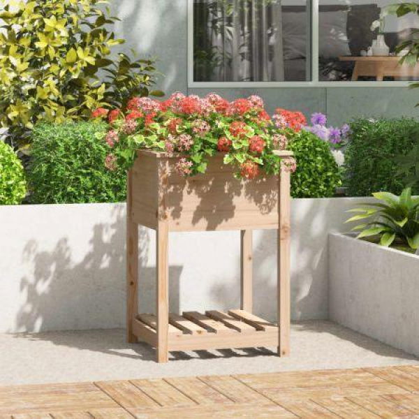 Planter With Shelf 54x54x81 Cm Solid Wood Pine