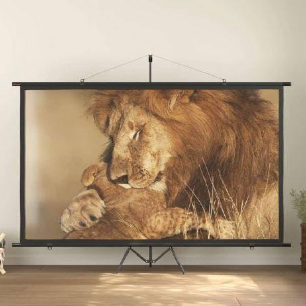 Projection Screen 120