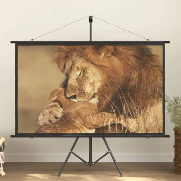 Projection Screen 72 16:9