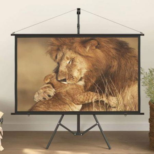 Projection Screen with Tripod 60 16:9