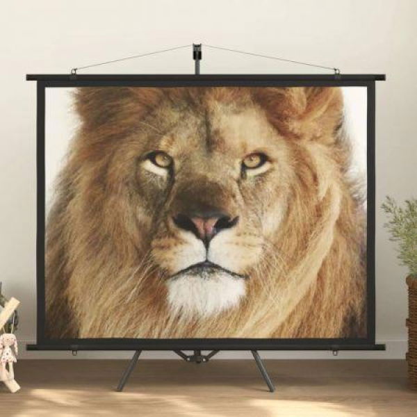 Projection Screen With Tripod 72