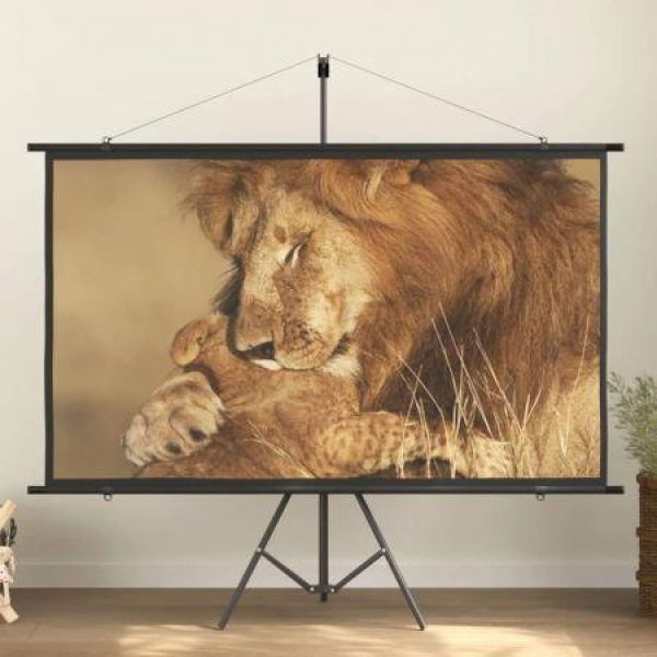 Projection Screen with Tripod 84 16:9