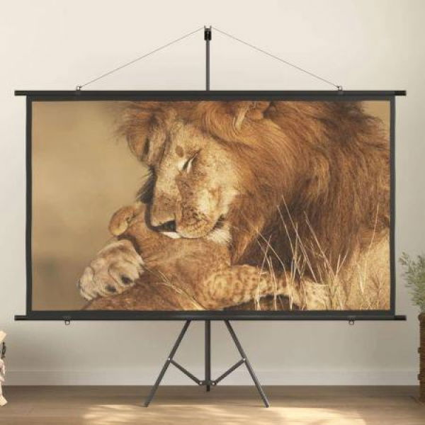 Projection Screen with Tripod 90