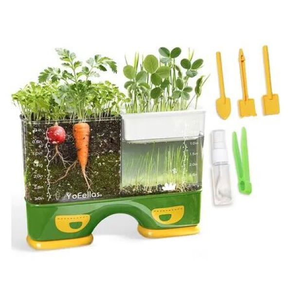 Root Viewer Science Kit for Kids, Grow Your Own Plant STEM Toy and Gardening Kit for Ages 6 to 12, Educational Gift for Boys and Girls