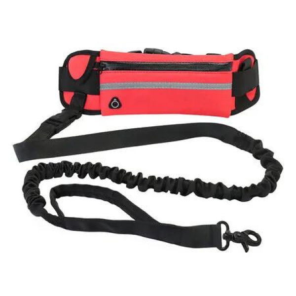 Running Waist Bag with Reflective Dog Walking Leash for Night Jogging with Leash for Outdoor Activities, Red