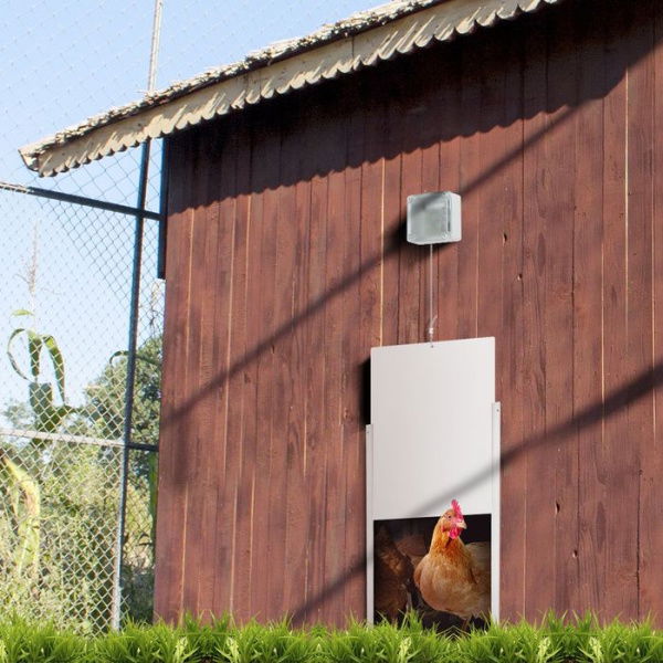 Safe Automatic Chicken Coop Door Opener/Closer Working With Timer Or Light Sensor. Get Rid Of Raccoons.