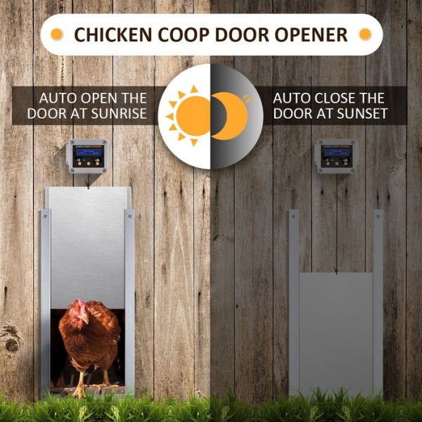 Safe Automatic Chicken Coop Door Opener Closer Working With Timer Or Light Sensor. Get Rid Of Raccoons.