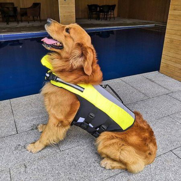 Size L 62-92cm Dog Life Jacket Dog Life Vest With Superior Buoyancy Pet Swimming Safety Vest With Rescue Handle