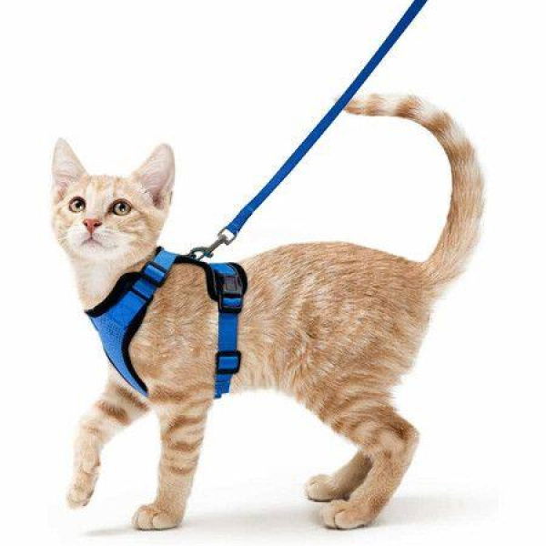 Size S Cat Harness Leash For Walking Escape-Proof Soft Adjustable Easy Control Breathable Reflective Strips Jacket (Navy Blue).