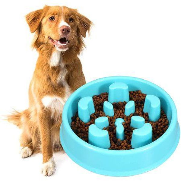 Slow Feeder Dog Bowl Anti-Gulping Dog Bowl Bloat Stop Water Dog Bowl For Small/Medium Dogs.