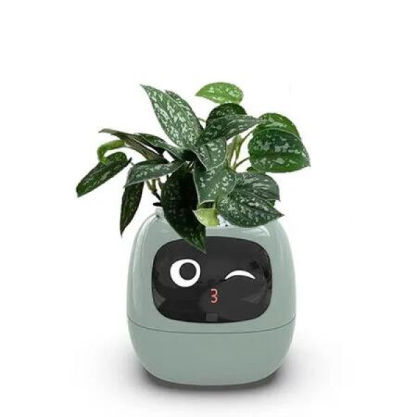 Smart AI Flowerpots Pet Planter Intelligent Plant Free Multiple Expressions 7 Smart Sensors Make Raising Plants Easy Fun Living Room Green