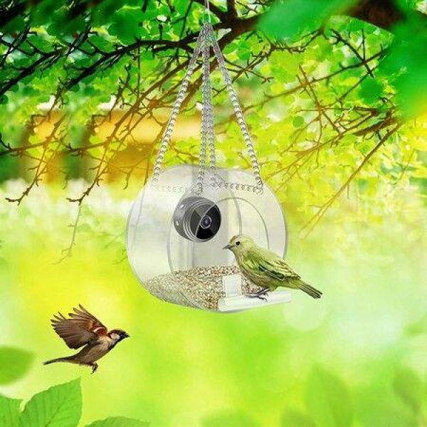 Smart Bird Feeder With Camera Weatherproofing Bird Watching Camera