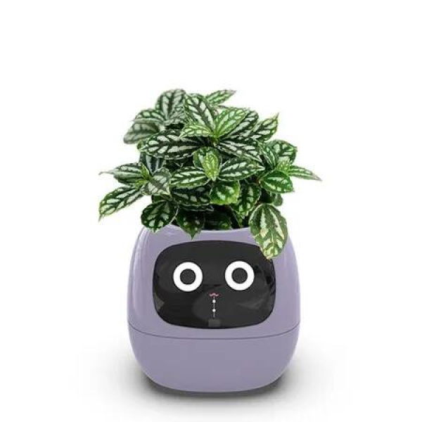 Smart Flowerpots,Smart Pet Planter,AI Planter,Intelligent Flowerpots,Multiple Expressions,7 Smart Sensors,and AI Chips Make Raising Plants Easy and Fun for Living Room,Plant-free (Purple)