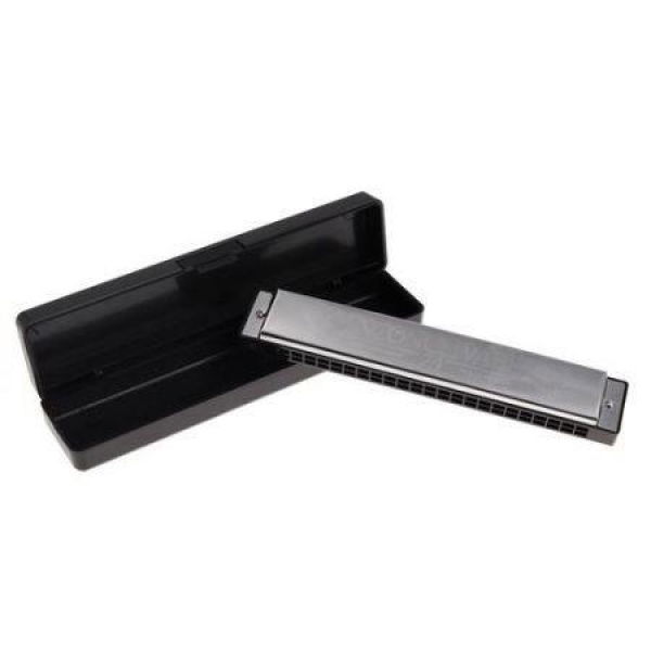 Swan Tremolo Harmonica Mouth Organ 24 Double Holes With 48 Reeds Key Of C