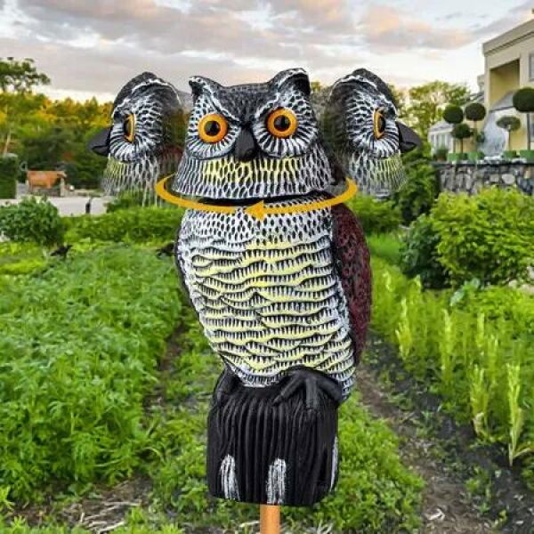 Upgraded 360Â° Motion-Activated Owl Decoy to Repel Frighten Birds and Squirrels for Garden Yard