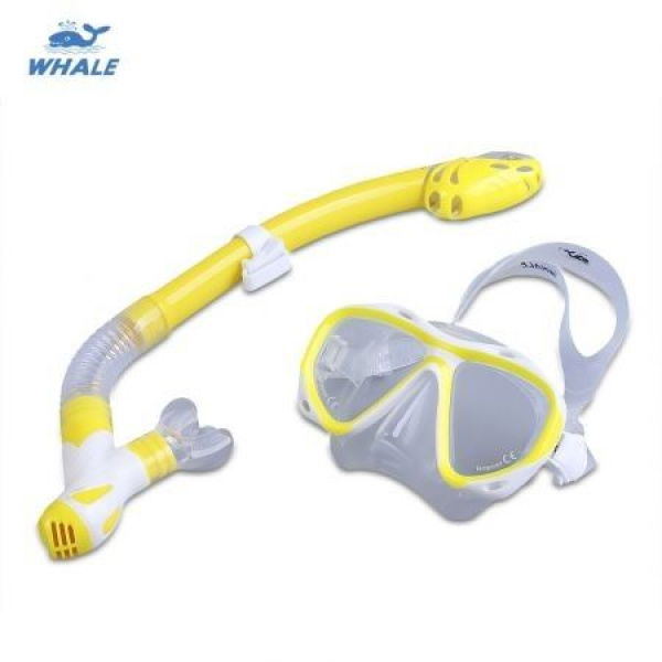 WHALE Professional Diving Water Sports Training Silicone Mask Snorkel Glasses Set