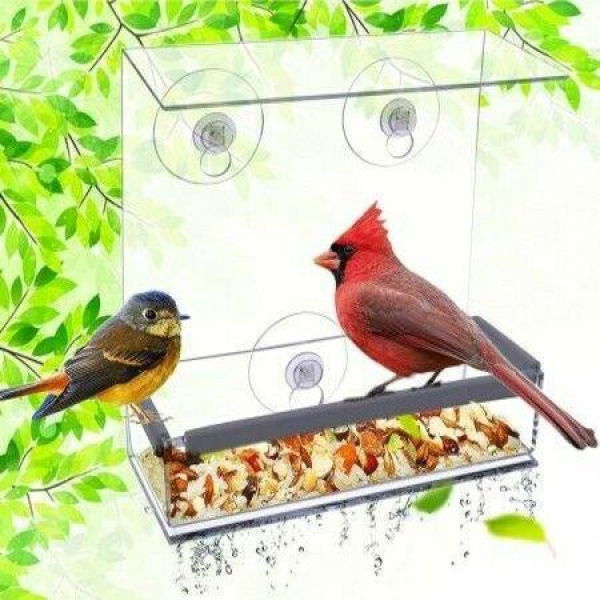 Window Bird Feeders Bird Feeders For Outside (square)