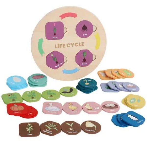 Wooden Life Cycle Educational Toys Plant Animal Cognitive Growth Cycle Model Set for Age 3+ Boys Girls Educational Toys