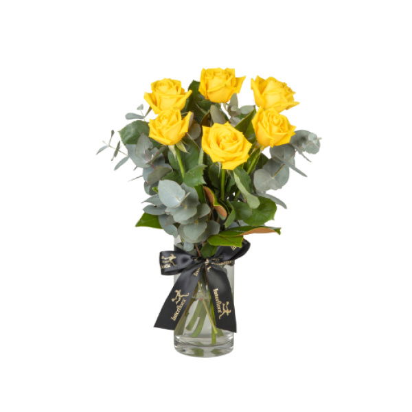 Jadore Roses In Yellow