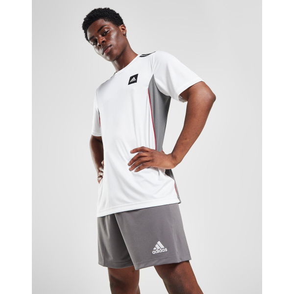 adidas Entrada 22 Shorts