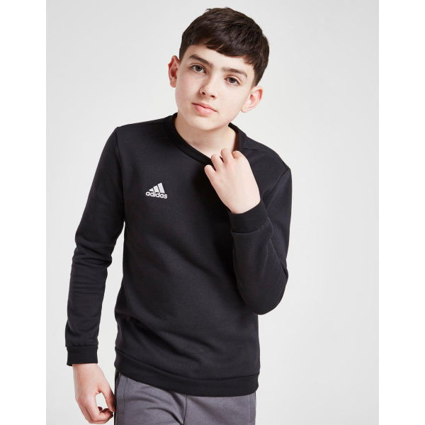 Adidas Entrada 22 Sweatshirt Junior