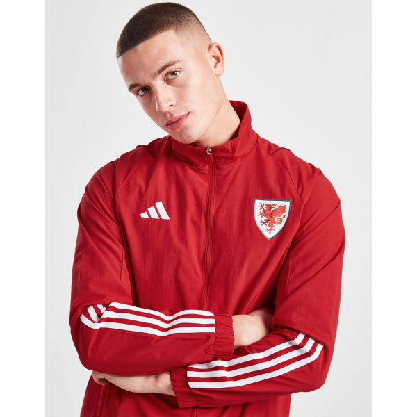 Adidas Wales Tiro 23 Presentation Jacket
