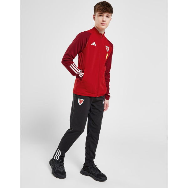 Adidas Wales Tiro 23 Training Track Pants Junior