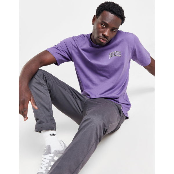 Dickies Aitkin Chest T-Shirt