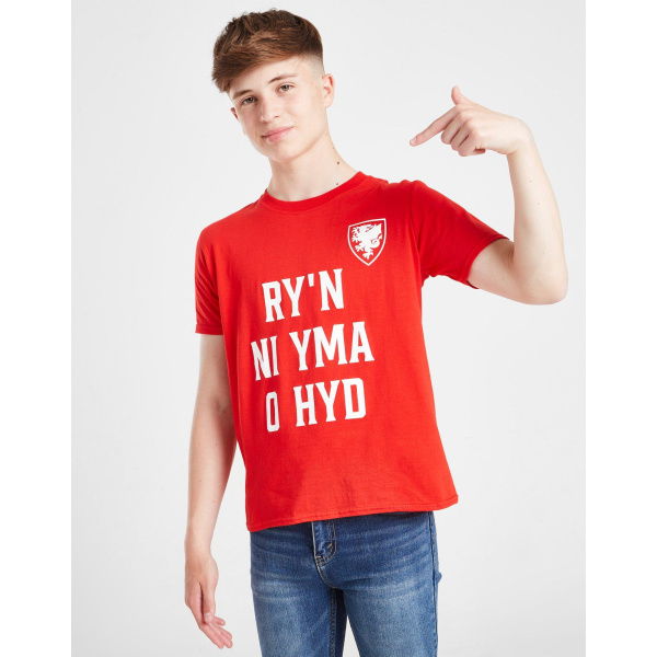 Official Team Wales Anthem T-Shirt Junior