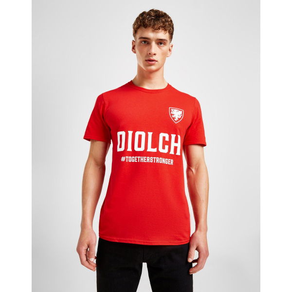 Official Team Wales Diolch T-Shirt