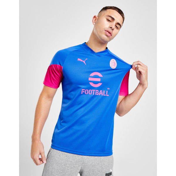 Puma AC Milan Training Shirt