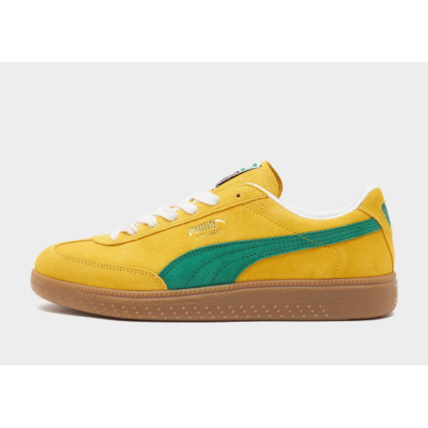 Puma Colibri