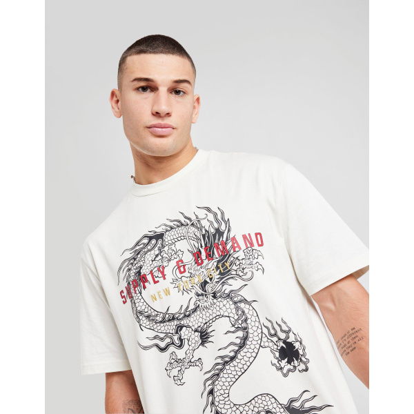 Supply & Demand Sterling Oversized T-Shirt