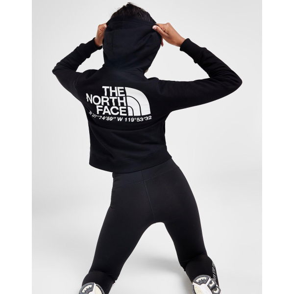 The North Face Coordinates Crop Hoodie