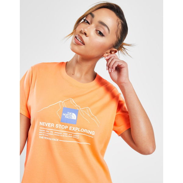 The North Face Mountain Graphic T-shirt