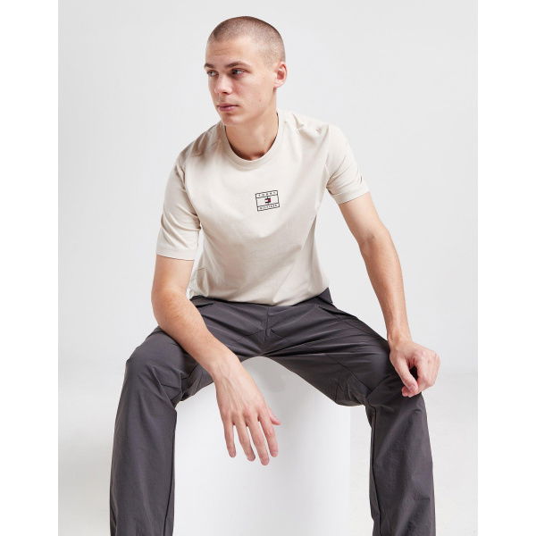 Tommy Hilfiger Small Logo T-Shirt