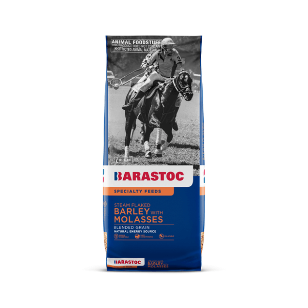Steam Flaked Molasses Barley Horse Food Horse Feed