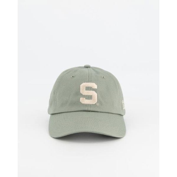 Ncaa Lettermark Dad Cap Sage