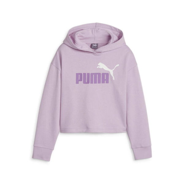 ESS+ 2Col Logo Girls Hoodie in Grape Mist, Size 4T, Cotton by PUMA