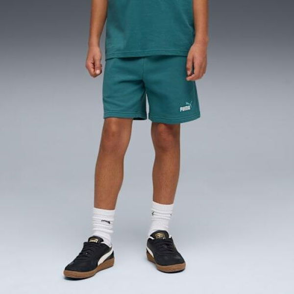 Essentials 2 Colour No. 1 Logo Shorts - Youth 8
