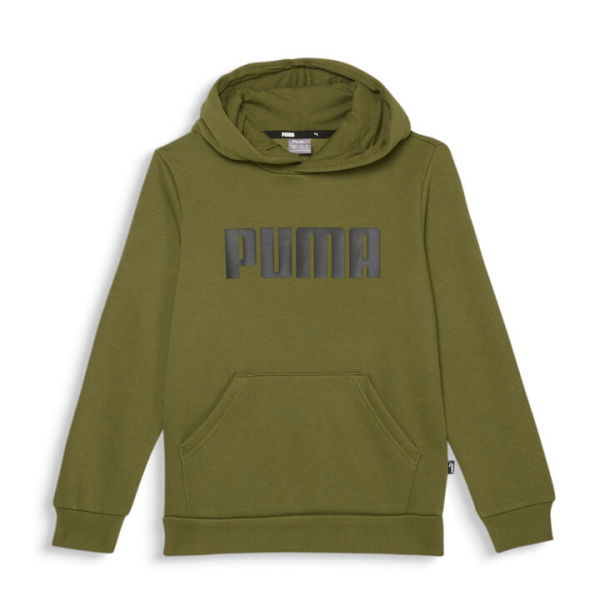 Essentials Boys Hoodie in Olive Green, Size 4T, Cotton by PUMA