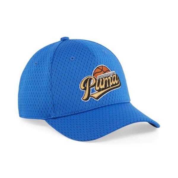Hometown Heroes Curved Brim Cap in Team Royal, Polyester by PUMA