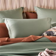 Detailed information about the product Adairs Green Queen Pillowcase Pair 600TC Bamboo Cotton Eucalyptus Pillowcases