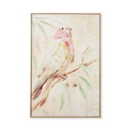 Detailed information about the product Adairs Pink Wall Art Aves Pink Galah Canvas