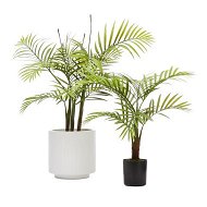 Detailed information about the product Adairs Green Bracken Potted Plants 61cm Medium Plant